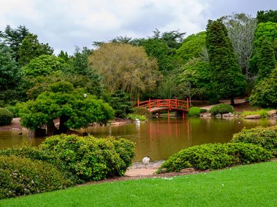 ATeamTuition_LocatioN_Toowoomba_DR